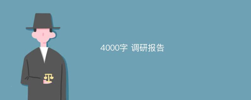 4000字 调研报告